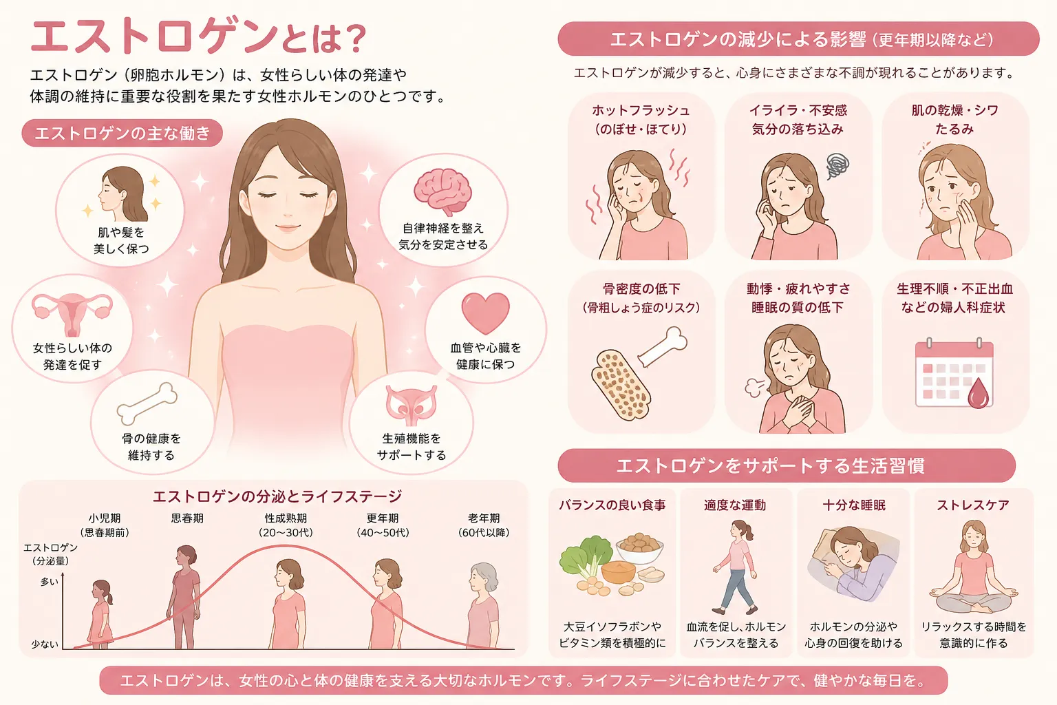 女性とエストロゲンの深い関係🌙